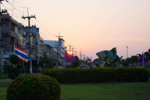 DSC01049 (2)